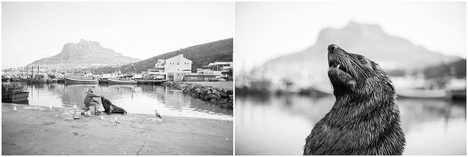 Cape Town_Hout Bay_0059.jpg
